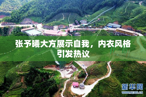 张予曦大方展示自我，内衣风格引发热议
