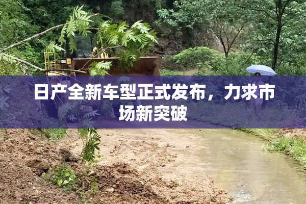 日产全新车型正式发布，力求市场新突破