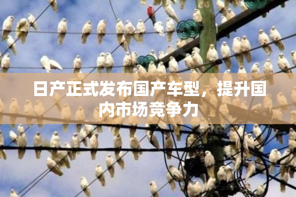 日产正式发布国产车型，提升国内市场竞争力