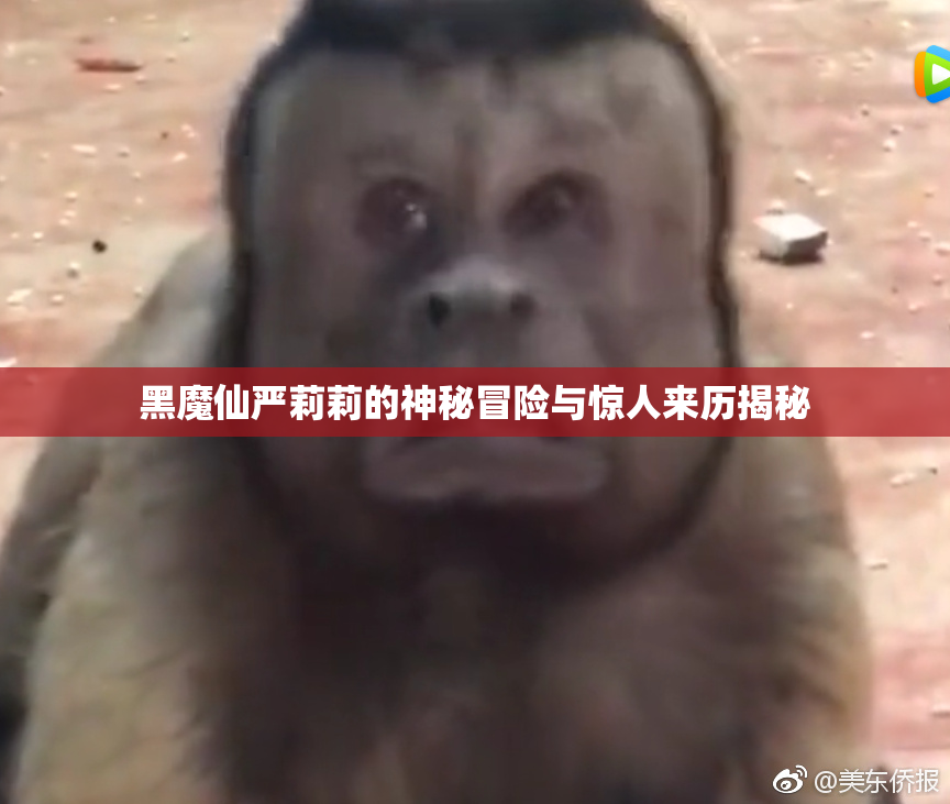 黑魔仙严莉莉的神秘冒险与惊人来历揭秘