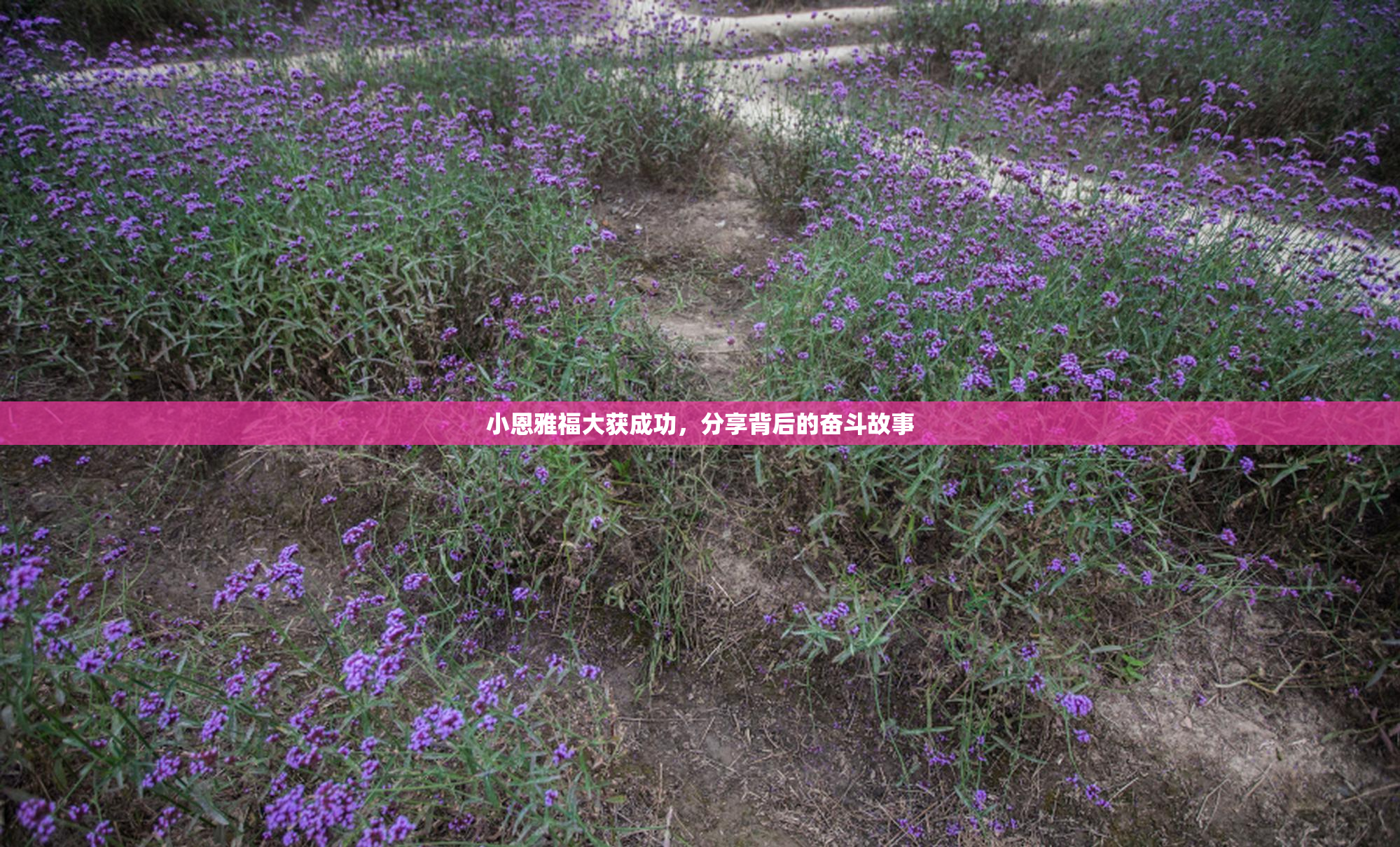 小恩雅福大获成功，分享背后的奋斗故事