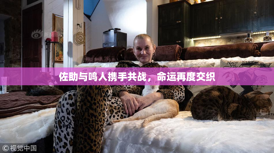 佐助与鸣人携手共战，命运再度交织