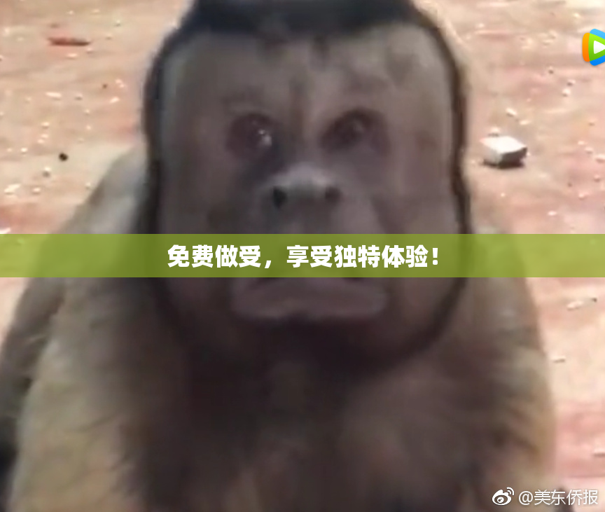 免费做受，享受独特体验！