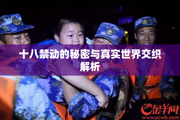 十八禁动的秘密与真实世界交织解析