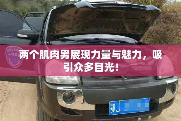 两个肌肉男展现力量与魅力，吸引众多目光！