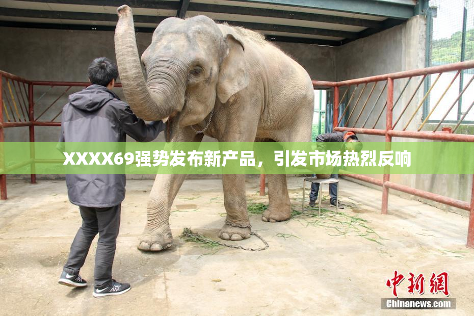 XXXX69强势发布新产品，引发市场热烈反响