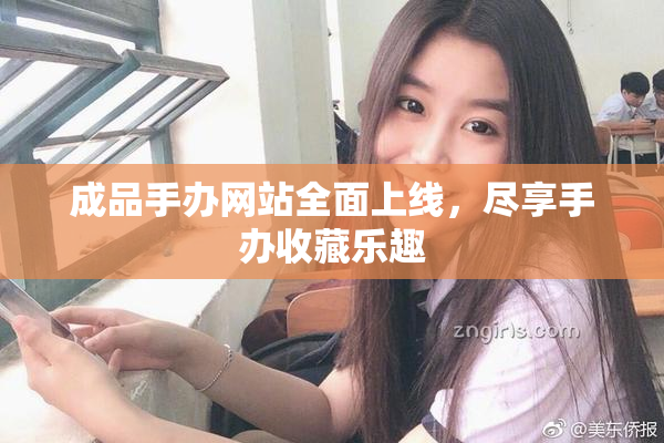 成品手办网站全面上线，尽享手办收藏乐趣