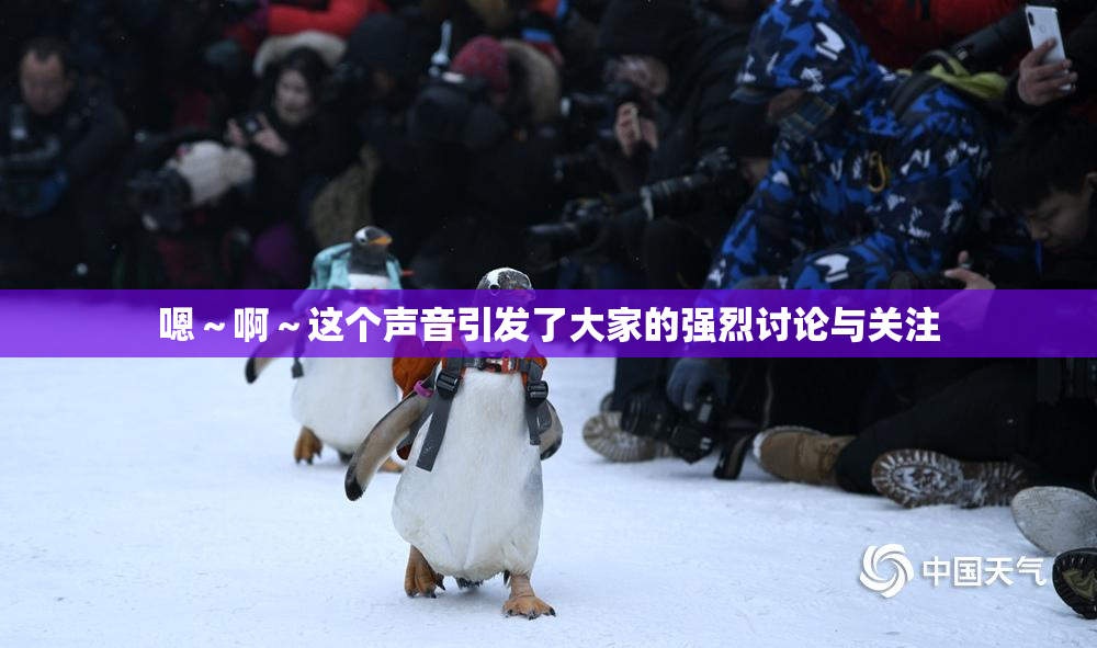 嗯～啊～这个声音引发了大家的强烈讨论与关注