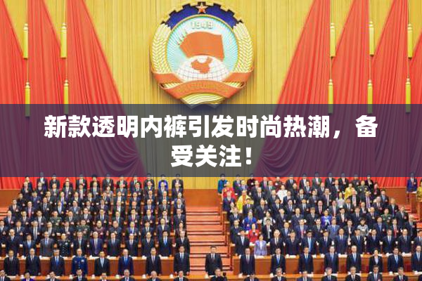 新款透明内裤引发时尚热潮，备受关注！