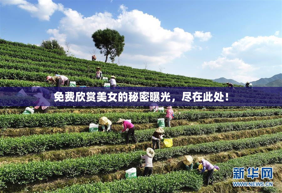 免费欣赏美女的秘密曝光，尽在此处！