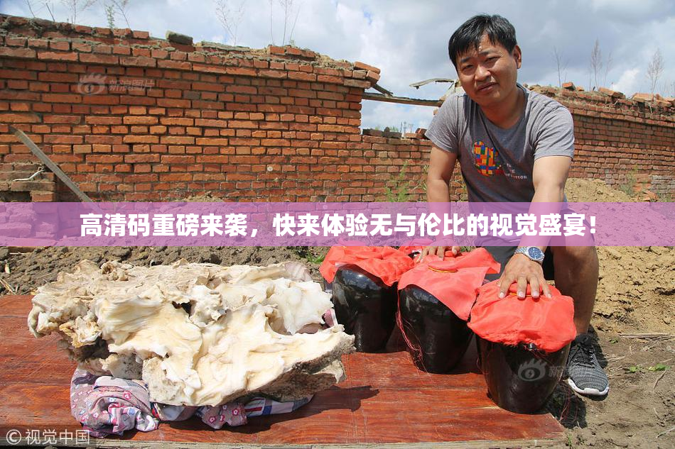 高清码重磅来袭，快来体验无与伦比的视觉盛宴！