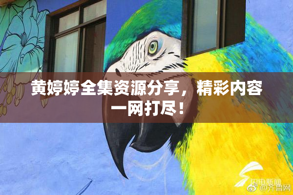 黄婷婷全集资源分享，精彩内容一网打尽！