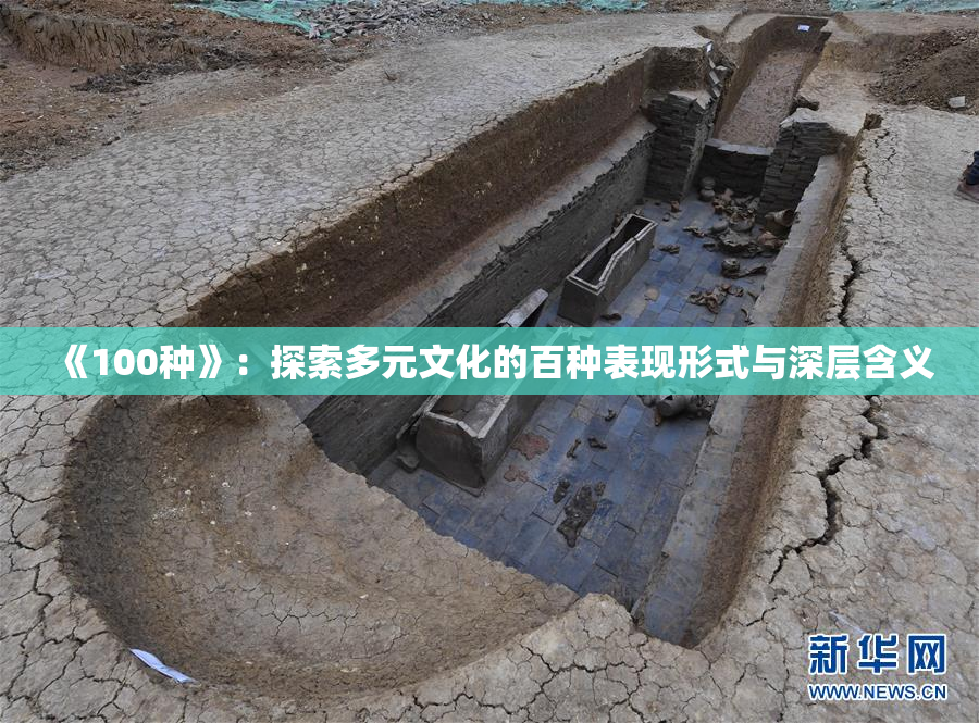 《100种》：探索多元文化的百种表现形式与深层含义