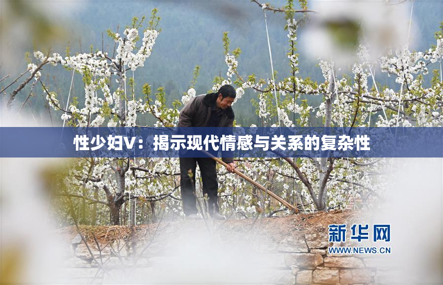 性少妇V：揭示现代情感与关系的复杂性