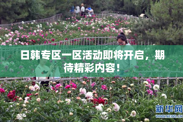 日韩专区一区活动即将开启，期待精彩内容！