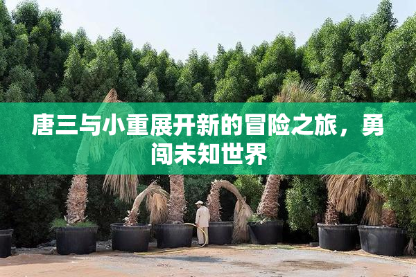 唐三与小重展开新的冒险之旅，勇闯未知世界