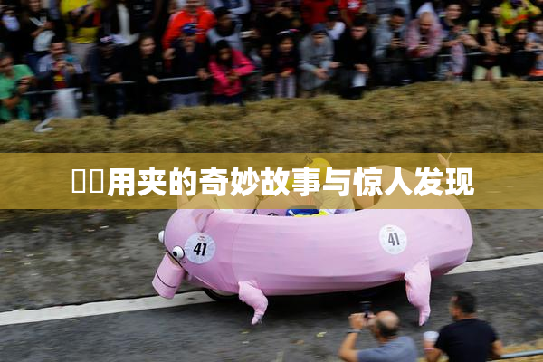 妺妺用夹的奇妙故事与惊人发现