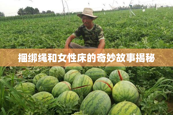 捆绑绳和女性床的奇妙故事揭秘