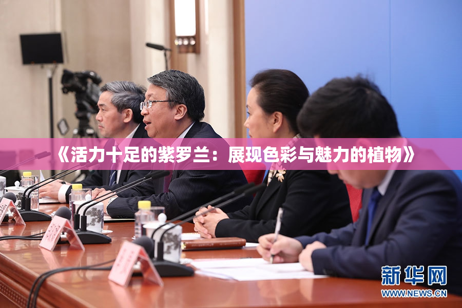 《活力十足的紫罗兰：展现色彩与魅力的植物》