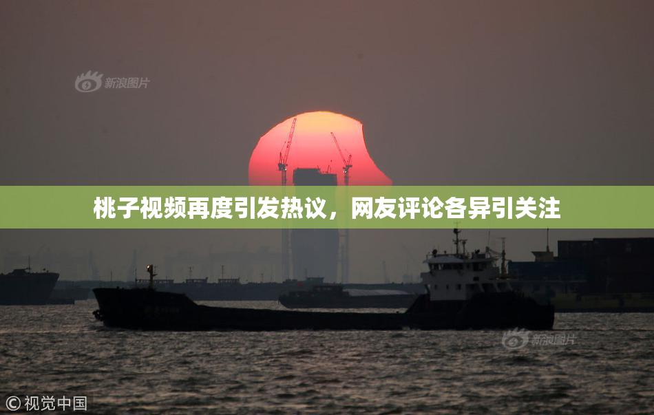 桃子视频再度引发热议，网友评论各异引关注