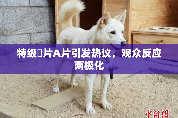 特级婬片A片引发热议，观众反应两极化