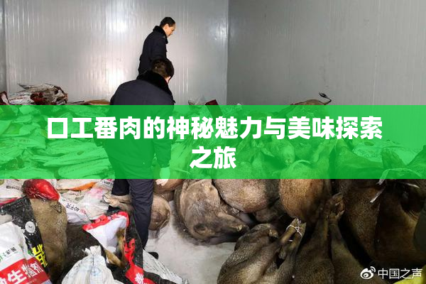 口工番肉的神秘魅力与美味探索之旅