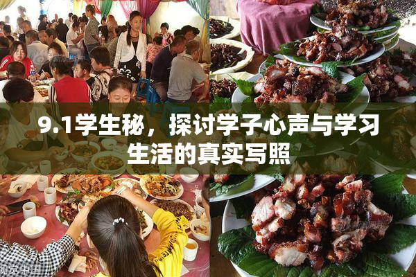 9.1学生秘，探讨学子心声与学习生活的真实写照
