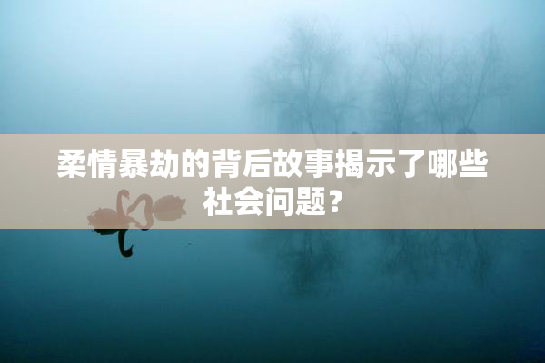 柔情暴劫的背后故事揭示了哪些社会问题？