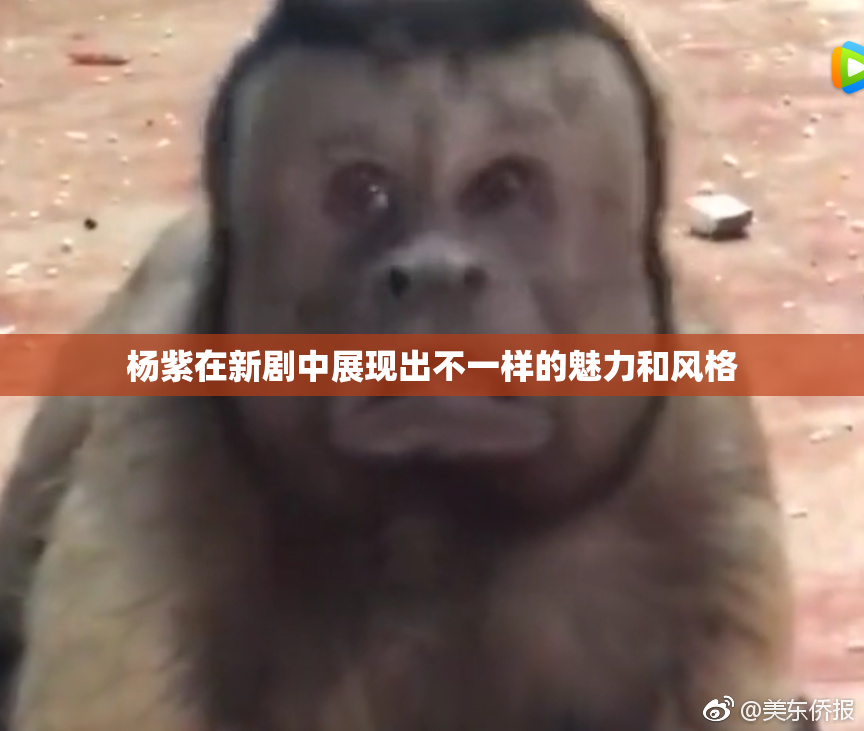 杨紫在新剧中展现出不一样的魅力和风格