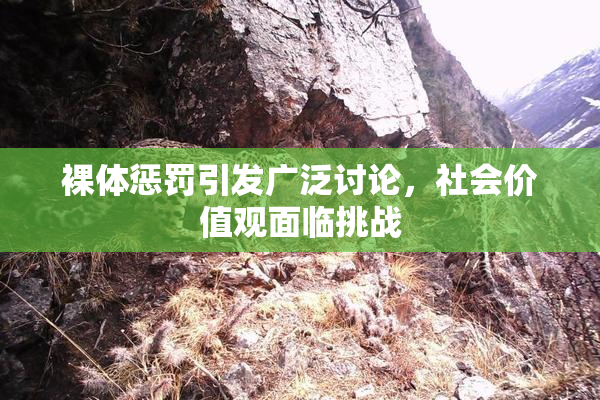 裸体惩罚引发广泛讨论，社会价值观面临挑战