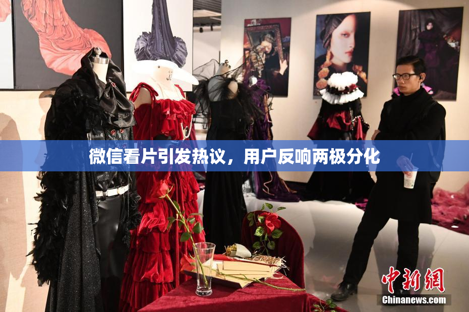 微信看片引发热议，用户反响两极分化