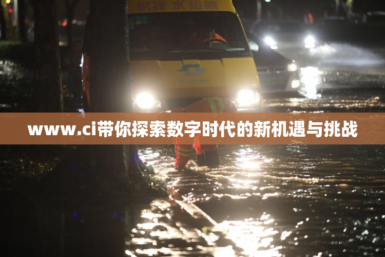 www.ci带你探索数字时代的新机遇与挑战