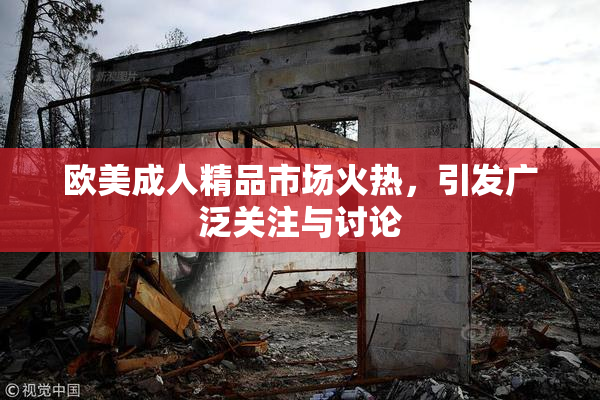 欧美成人精品市场火热，引发广泛关注与讨论