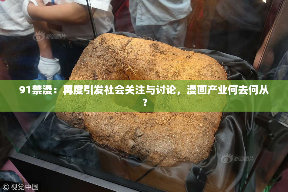 91禁漫：再度引发社会关注与讨论，漫画产业何去何从？