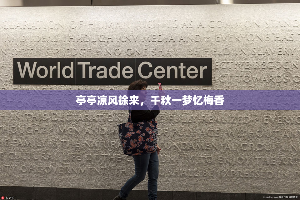 亭亭凉风徐来，千秋一梦忆梅香
