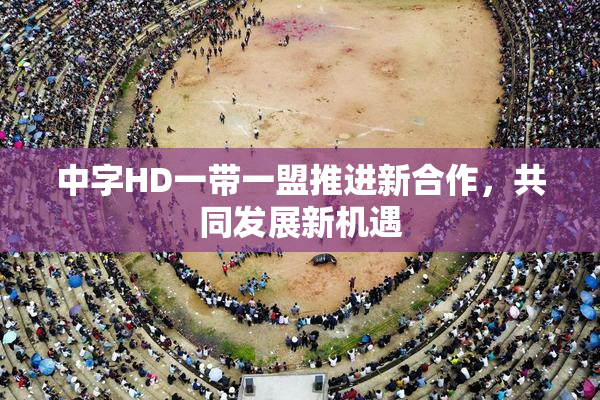 中字HD一带一盟推进新合作，共同发展新机遇