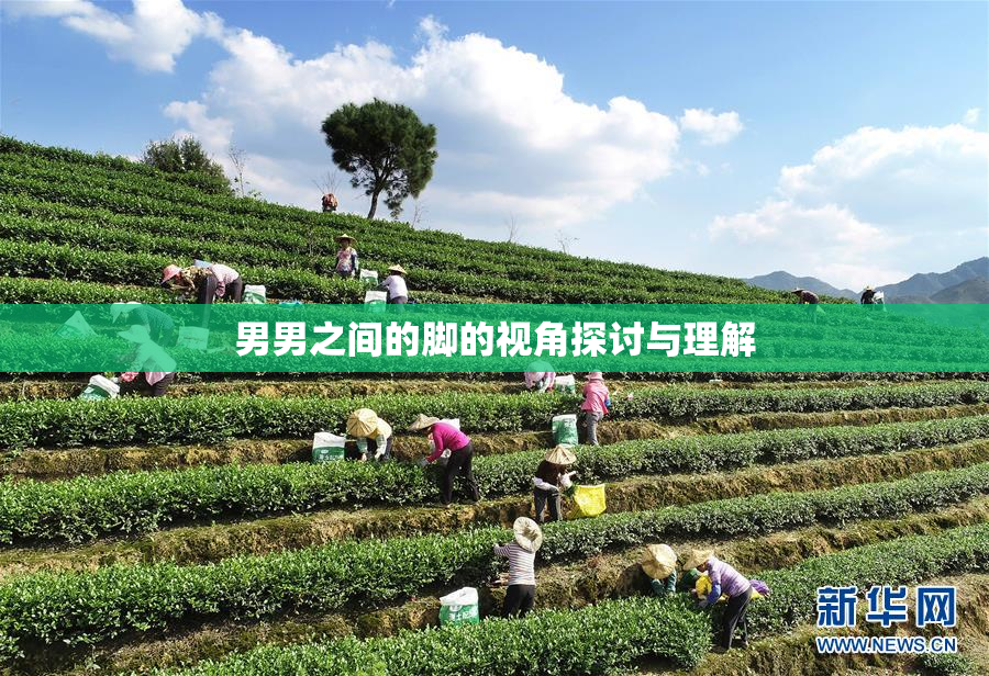 男男之间的脚的视角探讨与理解