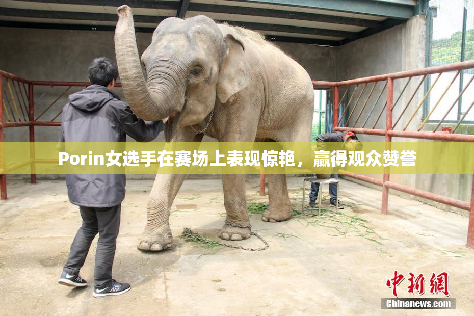 Porin女选手在赛场上表现惊艳，赢得观众赞誉