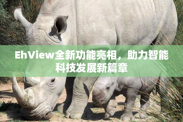 EhView全新功能亮相，助力智能科技发展新篇章