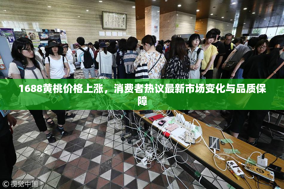 1688黄桃价格上涨，消费者热议最新市场变化与品质保障