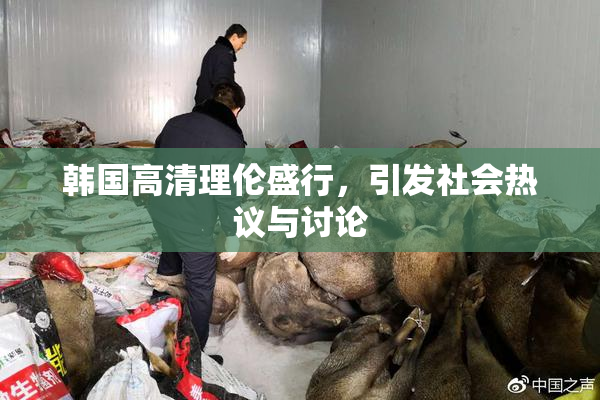 韩国高清理伦盛行，引发社会热议与讨论