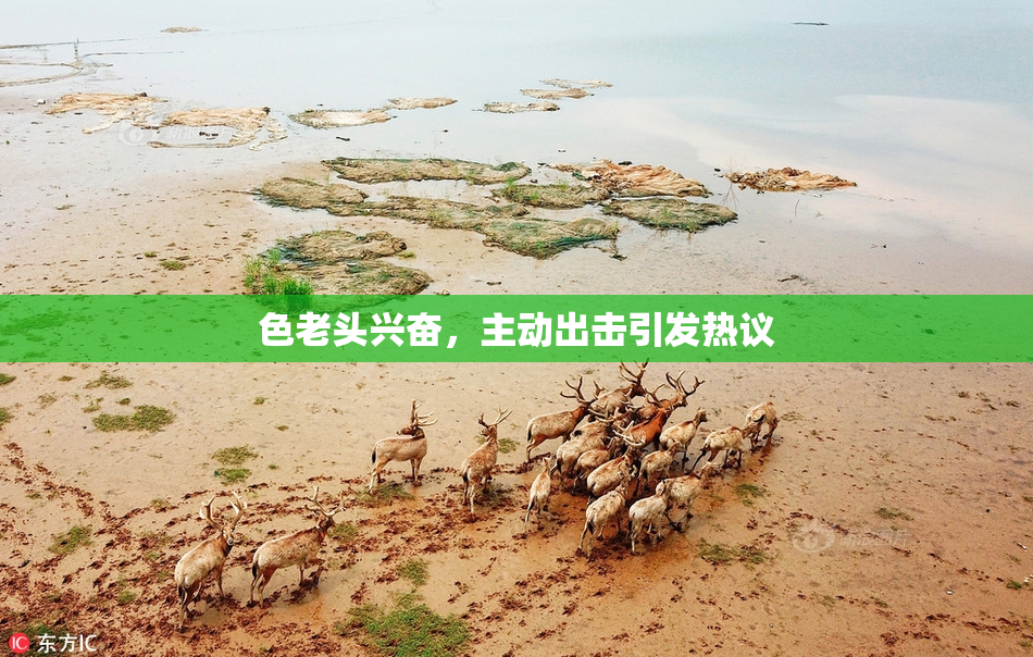 色老头兴奋，主动出击引发热议