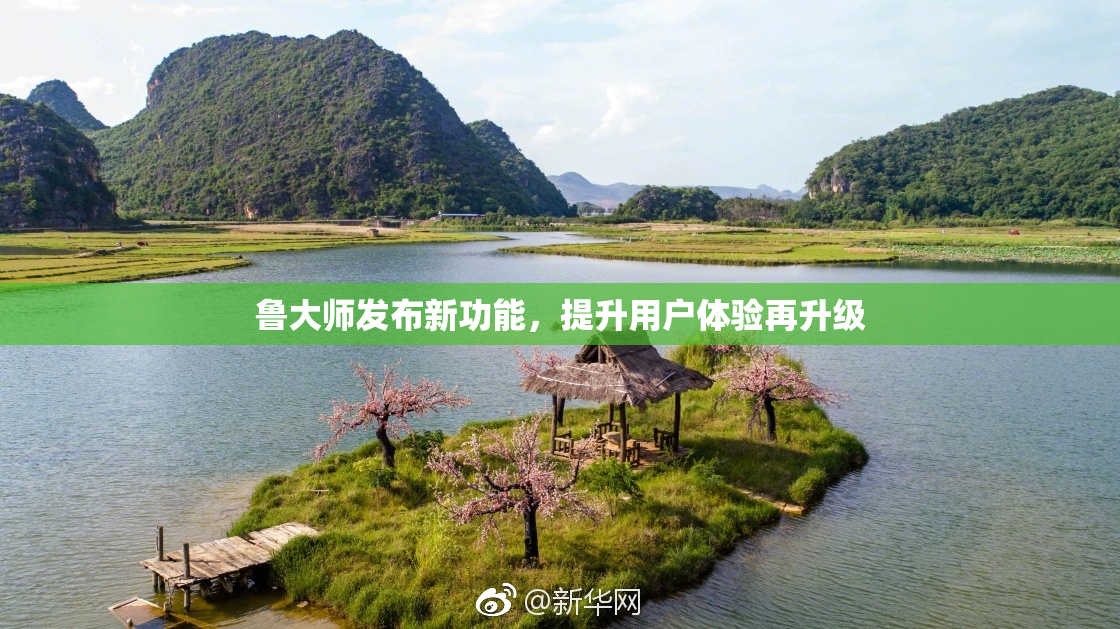 鲁大师发布新功能，提升用户体验再升级