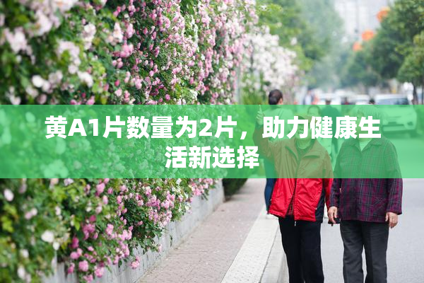 黄A1片数量为2片，助力健康生活新选择