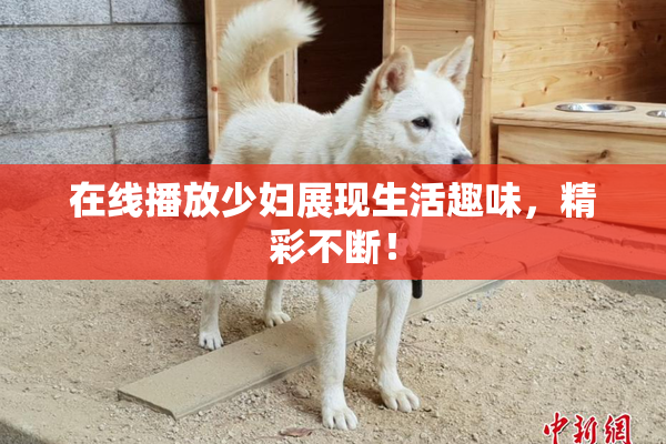 在线播放少妇展现生活趣味，精彩不断！