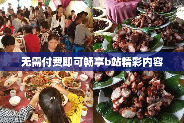 无需付费即可畅享b站精彩内容