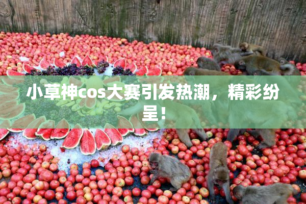 小草神cos大赛引发热潮，精彩纷呈！