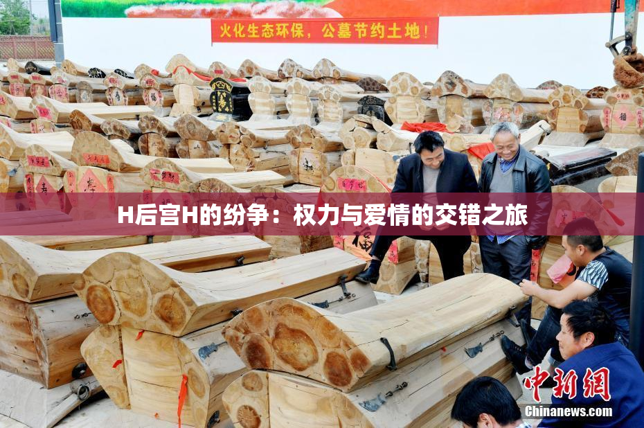 H后宫H的纷争：权力与爱情的交错之旅