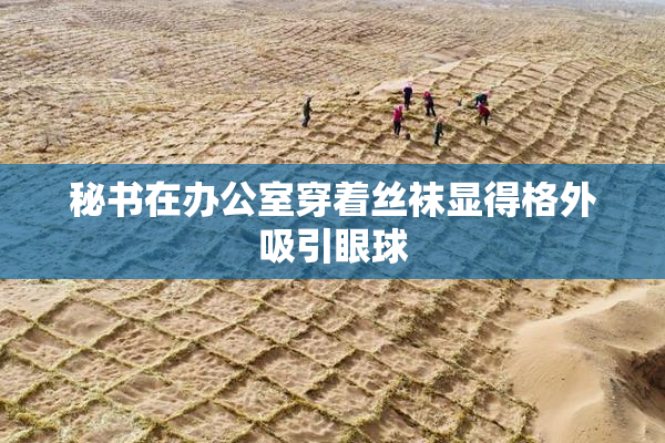 秘书在办公室穿着丝袜显得格外吸引眼球