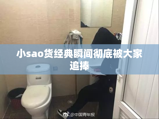 小sao货经典瞬间彻底被大家追捧